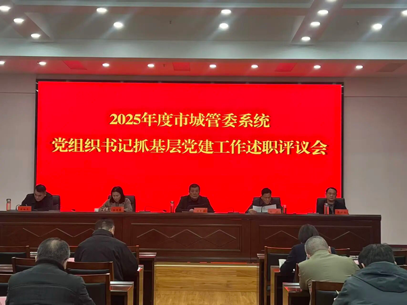 市城管委召开2025年市城管委系统党组织书记抓基层党建工作述职评议会
